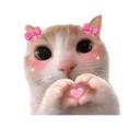 Nicoco
