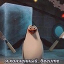 бешаная псина 228