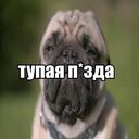 analnyi pazl
